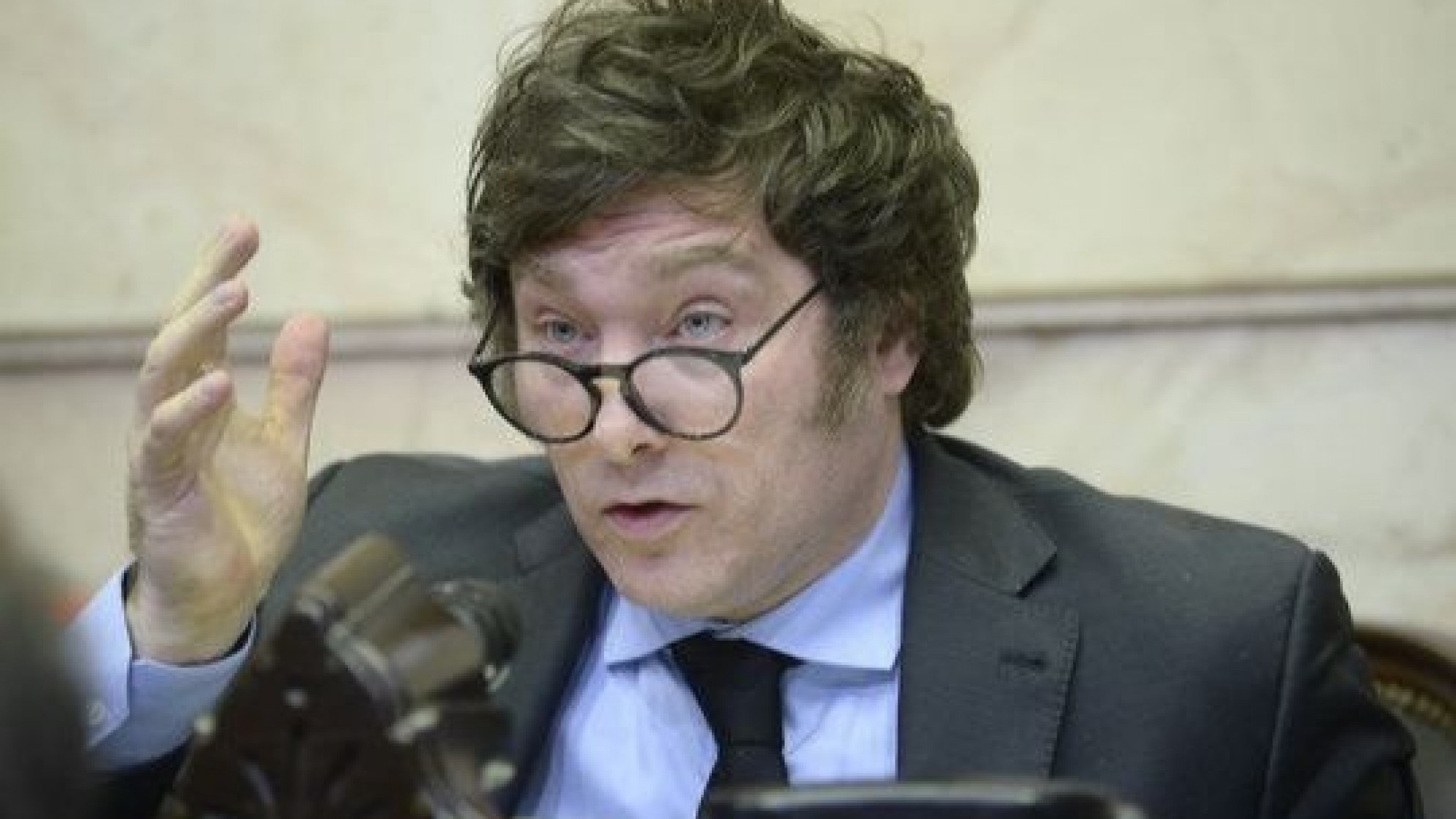 Los "gansos" se entusiasman con la llegada de Milei a Mendoza